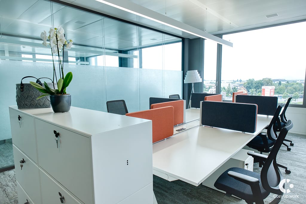 Coworking  Riantbosson
