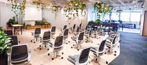 Coworking 16 Muelle Collier