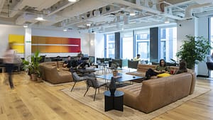 Coworking The Cursitor