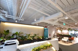 Coworking 16 Muelle Collier