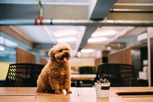 Coworking 158 Connaught Rd West