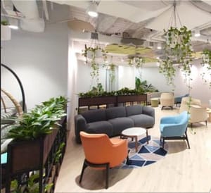 Coworking 16 Muelle Collier
